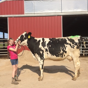 A picture of my 4-H group member and her cow Gamora.